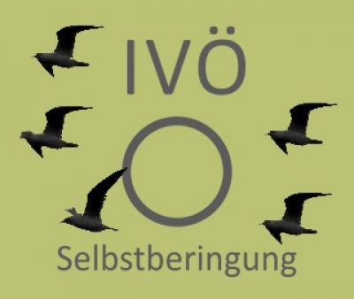 Selbstberingung bei Anhang A Vögel